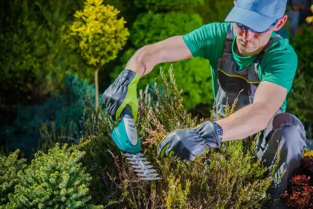 landscaping services Bad Axe